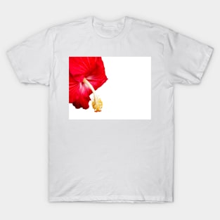 Red hibiscus flower on white. T-Shirt